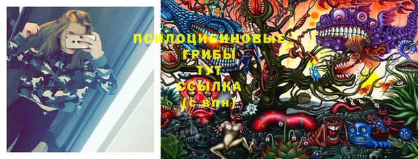 PSILOCYBIN Нефтегорск