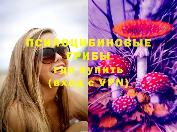 СК Нефтекумск