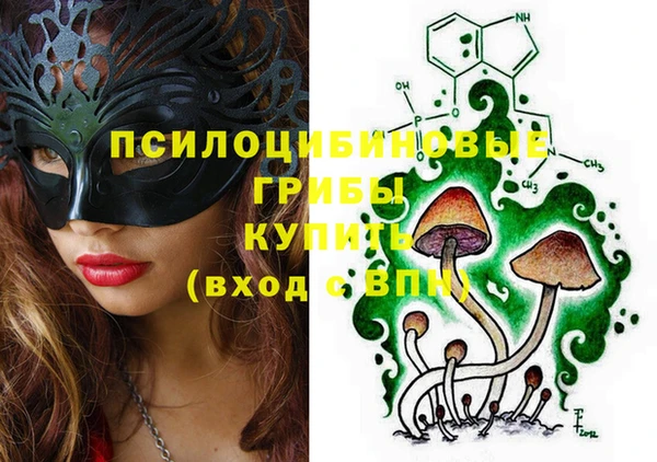 PSILOCYBIN Нефтегорск
