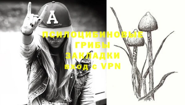 PSILOCYBIN Нефтегорск